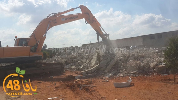 rokam dahmashs (1).jpg